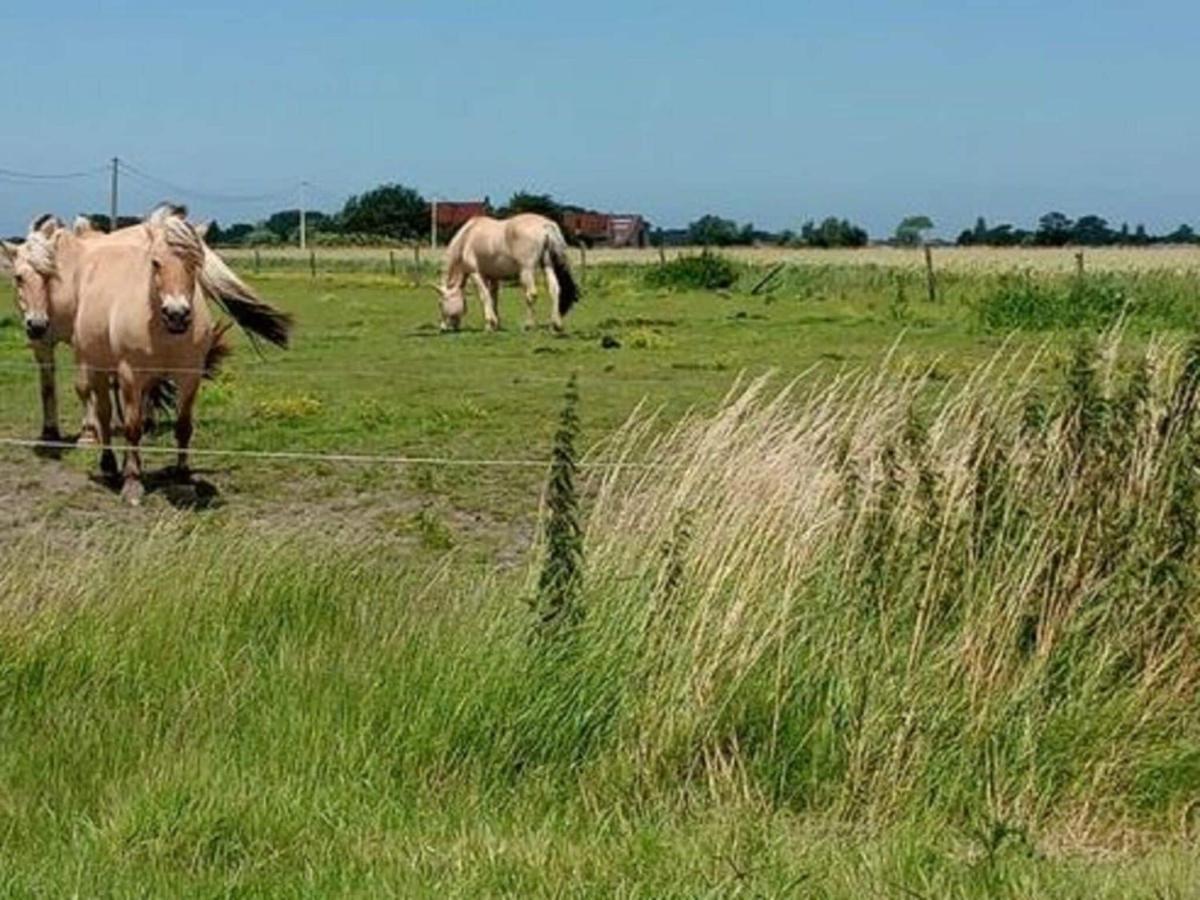 Lovely Apartment Near The Sea Bredene Exteriör bild